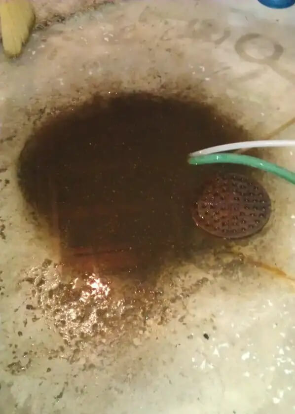 Basement floor drain backing up in Mason City, Iowa.